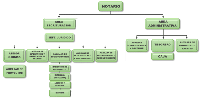 Organigrama institucional